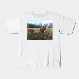 Scottish Highland Cattle Cow and Calf 1848 Kids T-Shirt